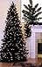 6.5' Pre-Lit Slim Black Ashley Spruce Artificial Christmas Tree - Clear Lights