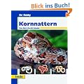 Kornnattern, Ihr Hobby