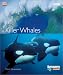 Killer Whales
