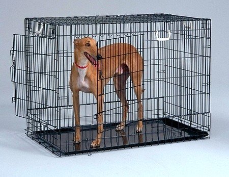 Dog Crate - Black 2 Door/Medium