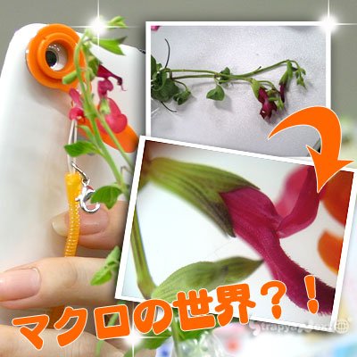 ケンコー カメラ付き携帯用 おもしろれんず 寄って寄って撮れる MPL-PX 086160