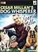 Dog Whisperer with Cesar Millan