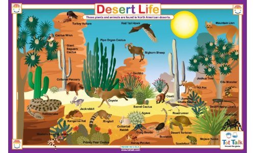 Desert Life Placemat