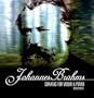 Sonatas for Violin & Piano, Sonatensatz