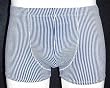 Blue/White Stripe Fitted Pouch Swim Shorts