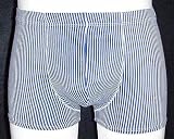 Blue/White Stripe Fitted Pouch Swim Shorts