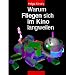 Warum Fliegen sich im Kino langweilen