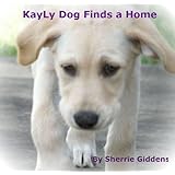 KayLy Dog Finds a Home