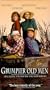 Grumpier Old Men [VHS]