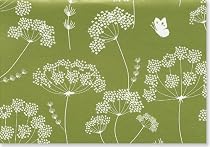 Queen Anne's Lace Note Cards (Boxed Cards, Stationery) (Note Card Series)