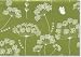 Amazon price tracker, Amazon price history charts, Queen Anne's Lace Note Cards (Stationery) (Note Card Series)