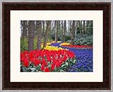 Picture Frame Mahogany Laredo .. 2'' wide