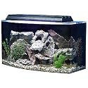 SeaClear Bowfront Aquarium Combo
