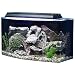 SeaClear Bowfront Aquarium Combo