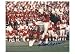 Gino Cappelletti Autographed/Hand Signed New England Patriots 8x10 Photo
