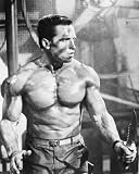 Review StarFramers  / Arnold Schwarzenegger 12x16 Matte B&W Photo (Commando)