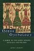 Norse Mythology: A Guide to Gods, Heroes, Rituals, and Beliefs