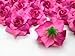 (24) Silk Pink Roses Flower Head - 1.75