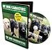Die Drei Charaktere - Anke Bogaerts, Trainings DVD