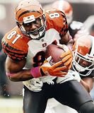 TERRELL OWENS CINCINNATI BENGALS 8X10 HIGH GLOSSY SPORTS ACTION PHOTO (N)
