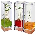 Globus Space-Age Plant Habitat, Plantarium Garden Lab