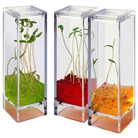 Globus Space-Age Plant Habitat, Plantarium Garden Lab