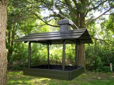 Songbird Essentials SEWS60002 Thru Bird Feeder