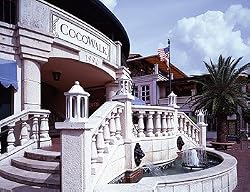 Coconut Grove Photograph - Beautiful 16"x20" Photographic Print by Carol M. Highsmith