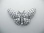 18k White Gold Diamond "Butterfly" Brooch