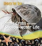 Hermit Crabs and Other Shallow-Water Life (Qeb Under the Sea)