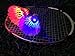 IFLYING Colorful LED Badminton for Dark Night Outdoor and Indoor Sports Activities - 4 Pieces