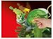 Search : Fisher-Price Imaginext DC Super Friends Green Lantern Planet OA