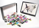 Photo Jigsaw Puzzle of Grey Hat With Feather from Mary Evans
