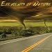 ELEMENTS OF NATURE 2010 Wall Calendar