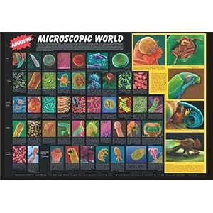 microscopic world poster