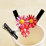 BIANHUAN ヘアピン 髪留め 6（コ）ヘアアクセサリー 髪飾り お花 超かわいい　旅行用 ヘアアクセサリー お姫様 誕生日 パーティ 記念日 イベント 写真撮影