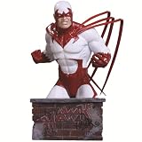 Hawk Heroes of the DC Universe DC Direct Bust
