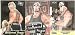 Hollywood Hulk Hogan WCW NWO Lot of 3 Wrestling Trading Cards & Sticker