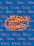 Florida Gators College Collection Blanket