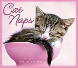 Cat Naps 2012 Box/Daily (calendar)