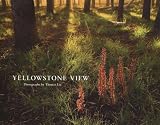 Yellowstone View