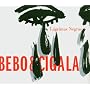 Lagrimas negras ~ Diego Cigala
