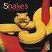 Snakes 2010 Square Wall