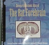 Chemoarchitectonic Atlas of the Rat Forebrain