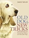 Old Dog, New Tricks: Understanding and Retraining Elderly and Rescue Dogs