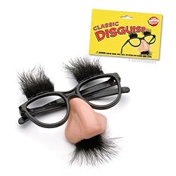 Classic Disguise Glasses