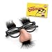 Classic Disguise Glasses