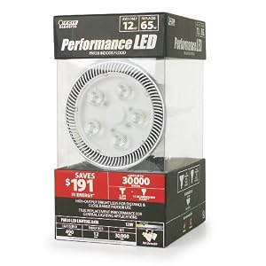 Buy Feit Electric PAR30 L HP LED 5-LED 12-Watt 120V PAR30 Flood Reflector by Feit Electric
