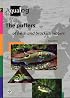 Aqualog: The Puffers of Fresh and Brackish Waters