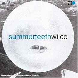 Wilco Foto 7